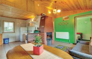 ムシチツェにある1 Bedroom Gorgeous Home In Msciceのキッチン、リビングルーム(暖炉付)