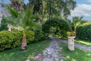 O grădină în afara Hotel Riva - All Inclusive