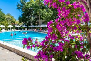 Bazén v ubytování Hotel Riva - All Inclusive nebo v jeho okolí + 45 fotografií