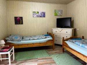 a bedroom with two beds and a tv on a dresser at Palma Apartment 2 in Schottwien