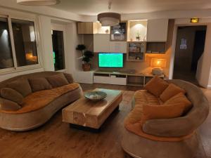 een woonkamer met 2 banken en een tv bij Hôtel Restaurant Le Lachens in La Bastide