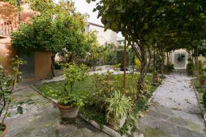 un giardino con alberi e piante in un cortile di Relais Pacinotti Rooms a Pisa