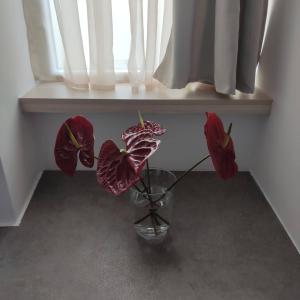 Fotografia z galérie ubytovania PETMEZA APARTMENT 2 Aigio City F v destinácii Aigio
