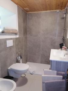 La salle de bains est pourvue de toilettes et d'un lavabo. dans l'établissement Casa vacanze Portigliatti: Elegante mansarda..., à Cogne