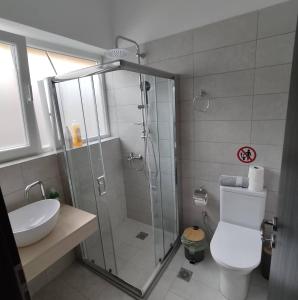 ein Bad mit einer Dusche, einem WC und einem Waschbecken in der Unterkunft PETMEZA APARTMENT 2 by DIMITROPOULOS in Egio