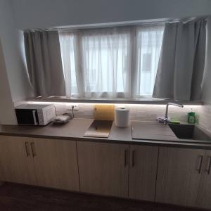 Kuchyňa alebo kuchynka v ubytovaní PETMEZA APARTMENT 2 Aigio City F