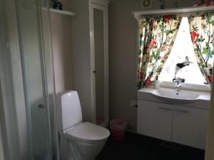 a bathroom with a toilet and a sink and a window at Mysigt HÄRBRE STUGA med utsikt över Siljan in Rättvik