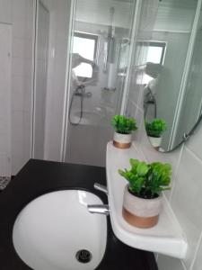 a bathroom with a sink with two potted plants on it at Casa Livia in Lieser