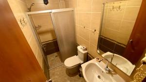 a bathroom with a toilet and a sink and a shower at Herton Boutique Hotel in Istanbul +35 photos