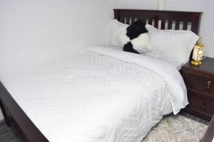 un gato blanco y negro sentado en una cama blanca en Lost & Found Zanzibar, en Zanzíbar