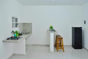 eine Küche mit einer Theke, einer Spüle und einem Kühlschrank in der Unterkunft Xula Bacalar in Bacalar