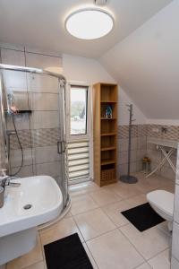 a bathroom with a shower and a sink and a toilet at Mazury Zakątek Salpia 1 dom apartament 10 osób Family 1 in Prażmowo