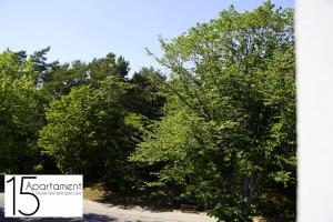Príroda v okolí apartmánu