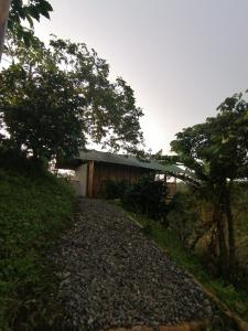 a house on a hill with a gravel road at Alojamiento rural finca la bendición in Filandia