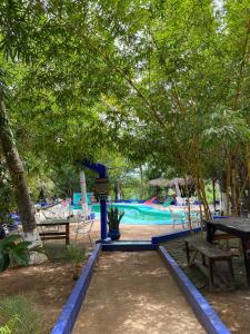 una piscina con mesa de picnic, bancos y árboles en Hostal Shalom, en Puerto Escondido