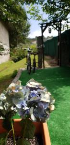 Um jardim em Quinta de Carvalhal - Casa de Campo