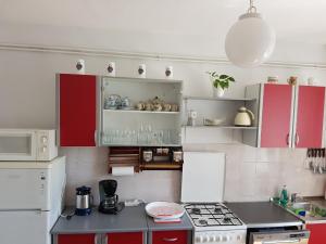 Kuchyň nebo kuchyňský kout v ubytování Seaside holiday house Barbat, Rab - 16712 + 4 fotografie