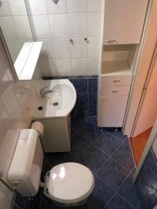 ein Bad mit einem WC und einem Waschbecken in der Unterkunft Apartment Barbat 16723b in Rab