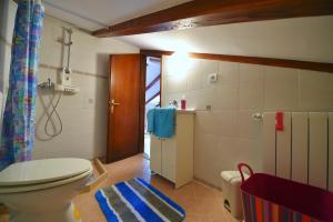 a bathroom with a toilet and a shower at Holiday house with WiFi Paz, Central Istria - Sredisnja Istra - 16623 in Buzet