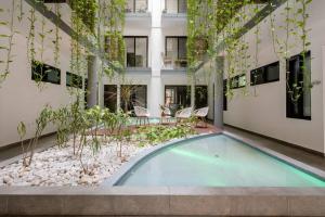 Κήπος έξω από το OneBR w Balcony or Small Studio in Playa del Carmen, BBQ, Pool Infinite, Whirlpool, AC, TV Smart, 200mb
