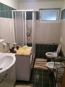 ein Bad mit einer Dusche, einem Waschbecken und einem WC in der Unterkunft Family friendly house with a parking space Licki Osik, Velebit - 16777 in Gospić