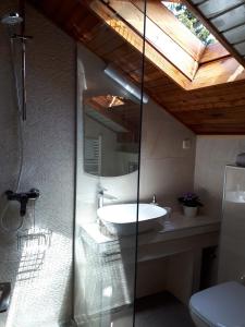 La salle de bains est pourvue d'un lavabo et d'une douche en verre. dans l'établissement Apartments by the sea Petrcane, Zadar - 16828, à Petrčane