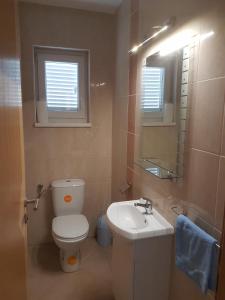 Koupelna v ubytování Apartment Novi Vinodolski 16998b
