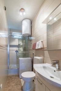 a bathroom with a toilet and a sink and a shower at Apartments by the sea Povlja, Brac - 16792 in Povlja