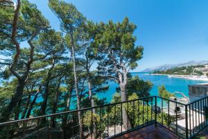 Príroda v okolí apartmánu