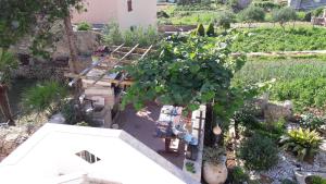 una vista sul giardino con piante di Apartments with WiFi Olib - 16674 a Olib (Ulbo)