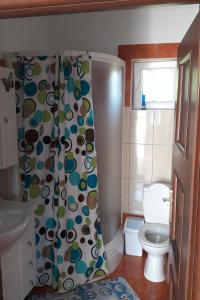 ein Bad mit einem WC und einem Duschvorhang in der Unterkunft Apartments with WiFi Olib - 16674 in Olib