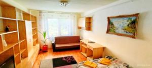 a small room with a bed and a chair in it at Apartment Niceview in Târgu-Mureş