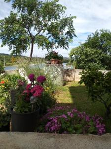 Fotografia z galérie ubytovania Apartments by the sea Bilice, Krka - 16904 v Šibeniku