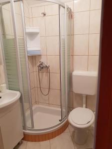 ein Badezimmer mit Dusche, Toilette und Waschbecken in der Unterkunft Apartments by the sea Orebic, Peljesac - 16883 in Orebić