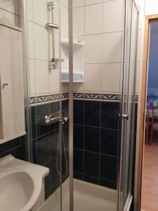 ein Badezimmer mit Dusche und Waschbecken in der Unterkunft Apartments by the sea Orebic, Peljesac - 16883 in Orebić
