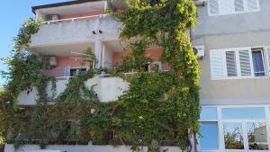 Fotografia z galérie ubytovania Apartments with a parking space Podgora, Makarska - 16591 v Podgore