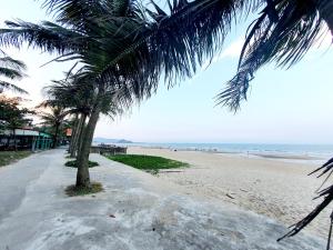 einen Strand mit einer Palme und dem Meer in der Unterkunft Khách sạn Phương Dung in Cửa Lô