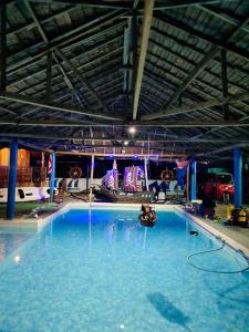 a large swimming pool with blue water in a building at Happy Bear in Moalboal