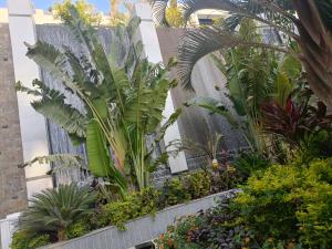 Sheraton Ocean 506 - Private apartments في القاهرة: حديقة في مبنى به نباتات وزهور