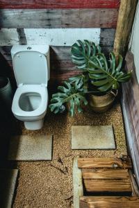 a bathroom with a toilet and some plants at Otentic, Eco Tent Experience in Grande Rivière Sud Est