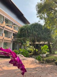 Gallery image of Blues River Resort in Chao Lao Beach +72 photos