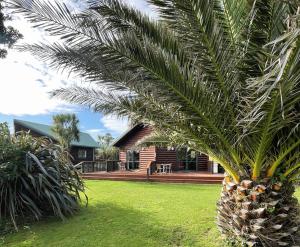 a palm tree in front of a house at Shining Star Beachfront Accommodation in Hokitika