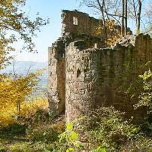 Fotografie z fotogalerie ubytování Ferienwohnung Zu den Weinbergen v destinaci Zeil