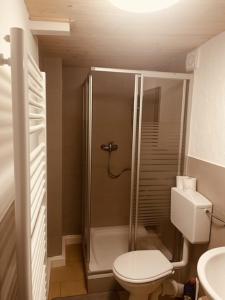 La salle de bains est pourvue d'une douche, de toilettes et d'un lavabo. dans l'établissement Ferienwohnung Zu den Weinbergen, à Zeil