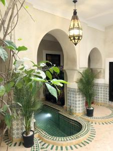 a pool in the middle of a room with plants at Riad Al Mamoune in Marrakesh