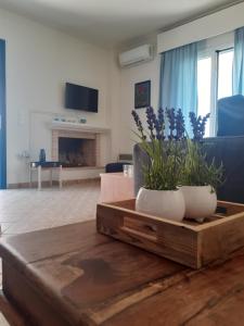 Fotografia z galérie ubytovania Αξέχαστη διαμονή στο Πορτοχέλι v destinácii Porto Heli