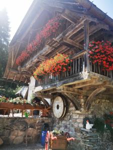 Zahrada ubytování Ferienwohnung Heimatliebe mit Alpenblick