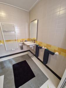 La salle de bains est pourvue d'un lavabo et d'un miroir. dans l'établissement De Remise, à Hengelo