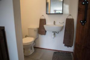 a bathroom with a toilet and a sink and a mirror at Peaceful 1-bedroom flatlet, 10 min from the beach in Cape Town