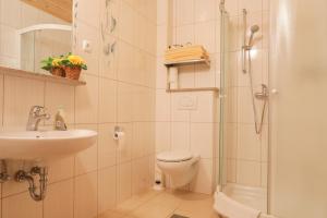 a bathroom with a toilet and a sink and a shower at Farm Holidays Povsin in Bled